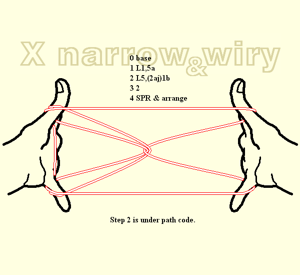 X Narrows and Wiries
