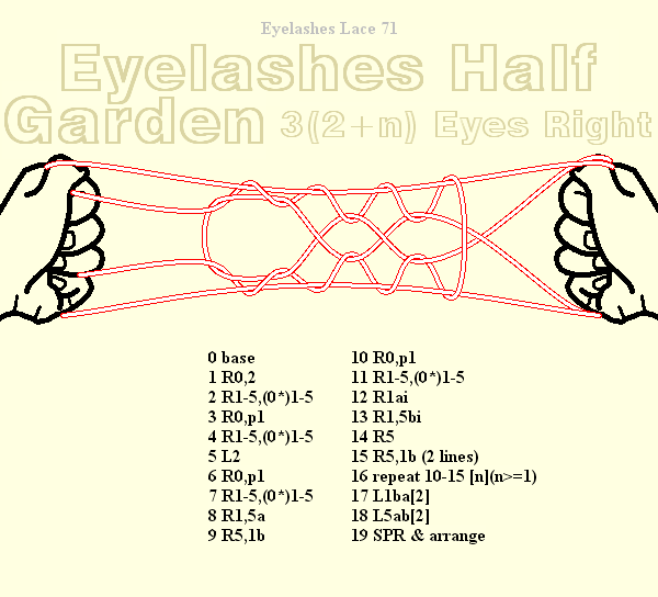 Eyelashes  Half Garden 2+n Eyes Right